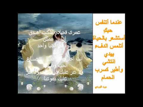 مع السلامة حلمي عبد الباقي 