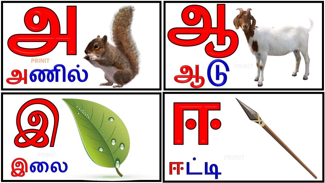 Uyir Ezhuthukal | Learn Tamil Alphabets/அ அம்மா 🤱 ஆ ஆடு 🐐 || அ ஆ இ ஈ ...