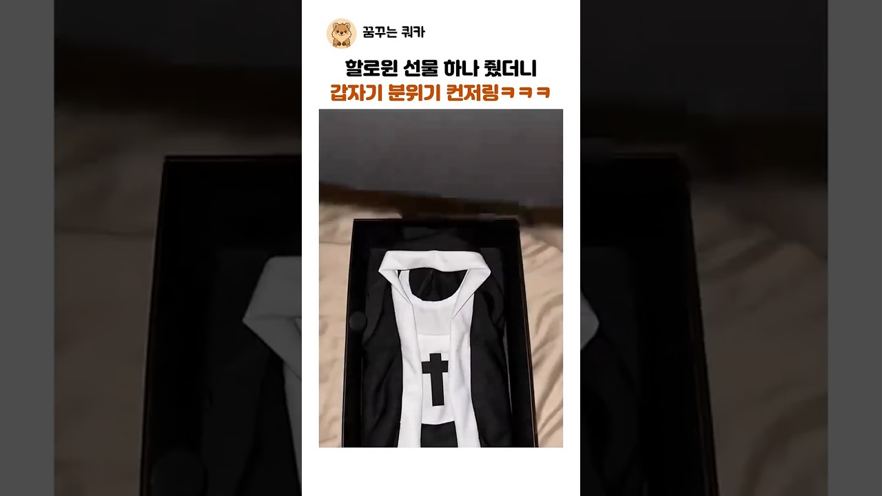 할로윈 선물 줬는데 갑자기 분위기 컨저링 ㅋㅋ