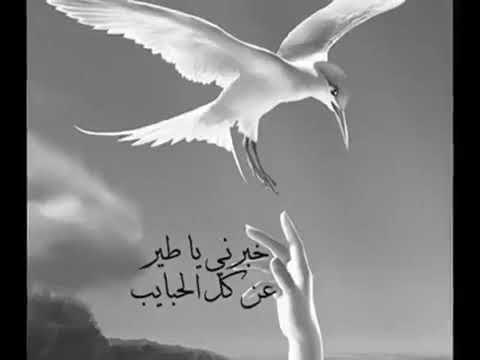 محمد الشويخي المصعاوي