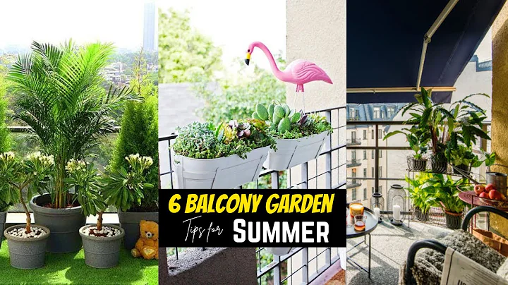 6 Balcony Garden Tips for Summer |  Tips to Care for Your Plants in Summer - DayDayNews