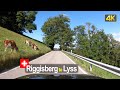 Driver's View: Riggisberg to Lyss, Canton of Bern - Switzerland 🇨🇭