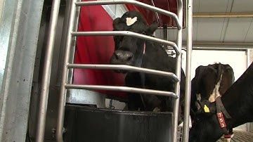 Lely Astronaut A4 milking robot - Product Development