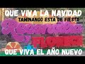 CANCIÓN QUE VIVA LA NAVIDAD QUE VIVA EL AÑO NUEVO COMPOSITOR RENE BURBANO ARTEAGA RBA COLOMBIA TAMI