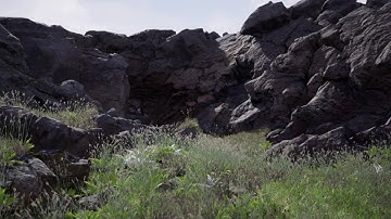 Proyecto Final Curso Unreal Engine | Alumno Antonio Viegas | The Factory School