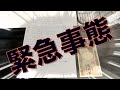 【やばい！】大変な事がおこりました。ママちゃん家出！！どうする？？？？