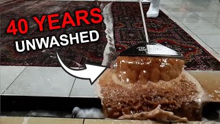 40 YEARS Unwashed Carpet from Grandma's Room Leaked BROWN GOO | Relaxing Rug Cleaning🐑