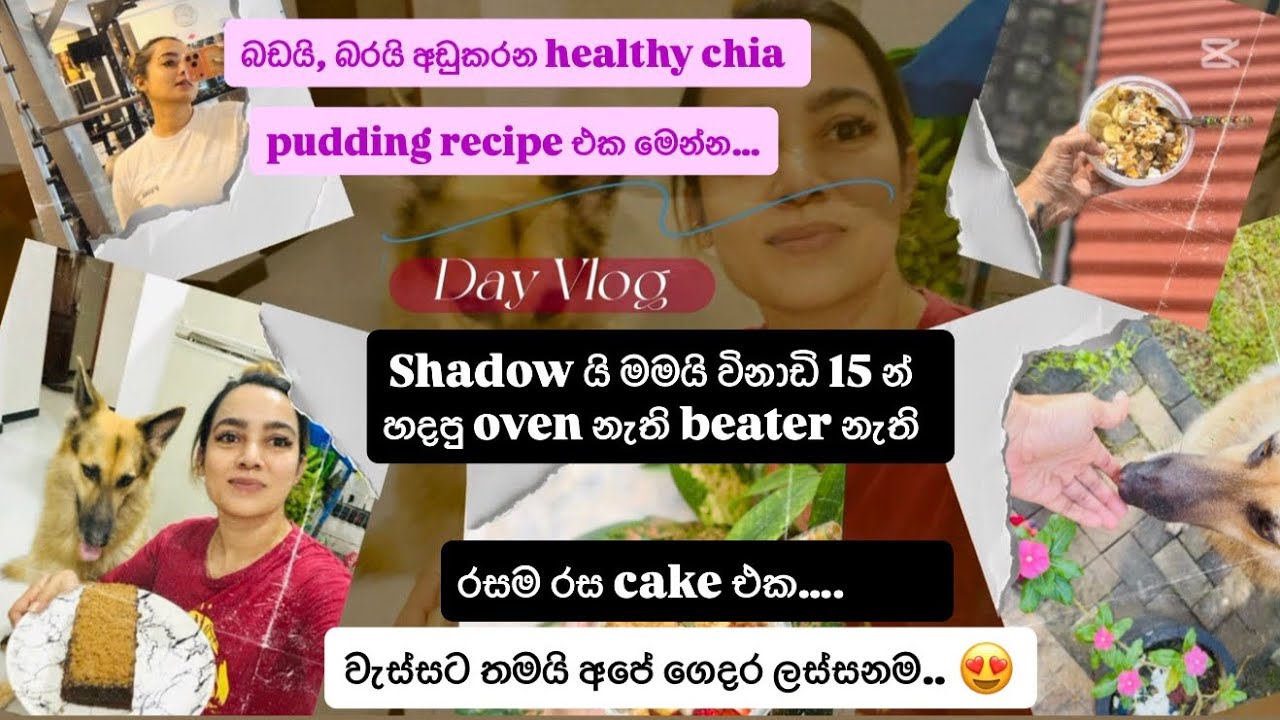 මේ පරිසරයේ ඡිවත් වෙන එක වාසනාවක් -කාලෙකින් මගේ day vlog එකක්… 😌 |day ...