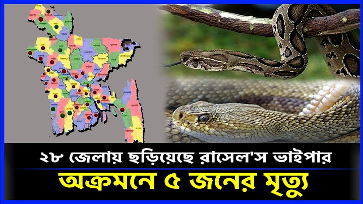 রাসেল'স ভাইপারের আক্রমনে ৫ জনের মৃত্য || ২৮ জেলায় ছড়িয়েছে  Rusell's Viper