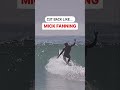 Upper Body Surfing