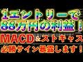 1エントリーで88万の利益！プロの裁量手法を大公開！【バイナリー】