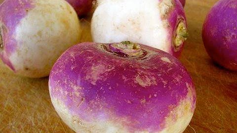 Rutabaga 101