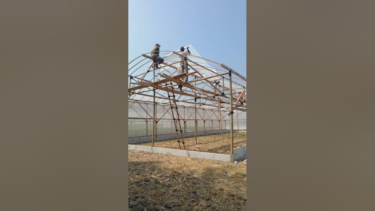 Pasang plastik UV