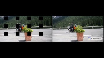 Flow-guided video inpainting result for a stationary mask