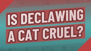 Is declawing a cat cruel?