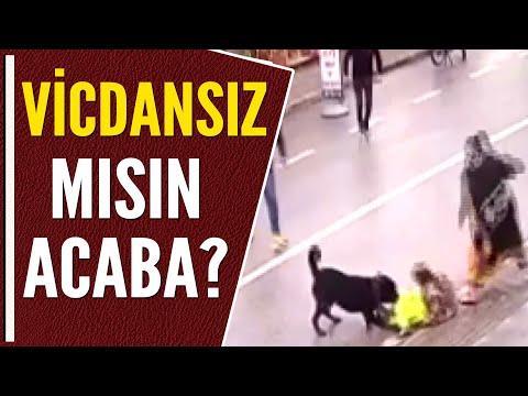 ÇOCUĞUNU KÖPEĞİN ÖNÜNE ATTI!