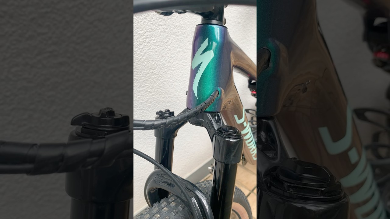 Specialized Epic Back to Peak Performance! 🔧✨ 