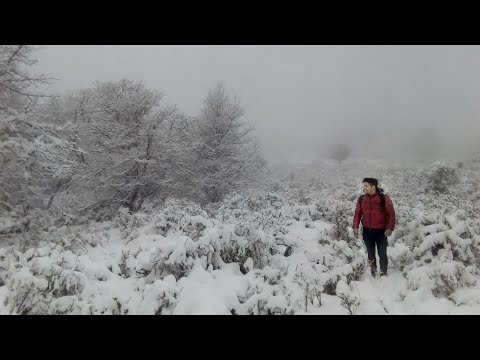 Caminos Nevados del Piltriquitrón -Vida Sureña