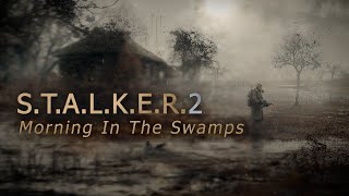 Surreal East - Morning In The Swamps [S.T.A.L.K.E.R. 2 Atmosphere]