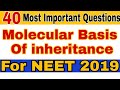 Molecular Basis Of inheritance 40 Most Important Questions for NEET