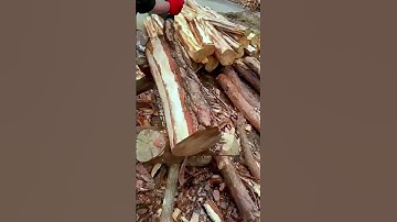 The process of peeling bark from trees; good machinery can improve work efficiency