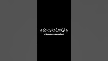 كروما شاشة سوداء قرآن كريم 🌿تلاوة من سورة فصلت 🌿القارئ ناصر القطامي 🌿