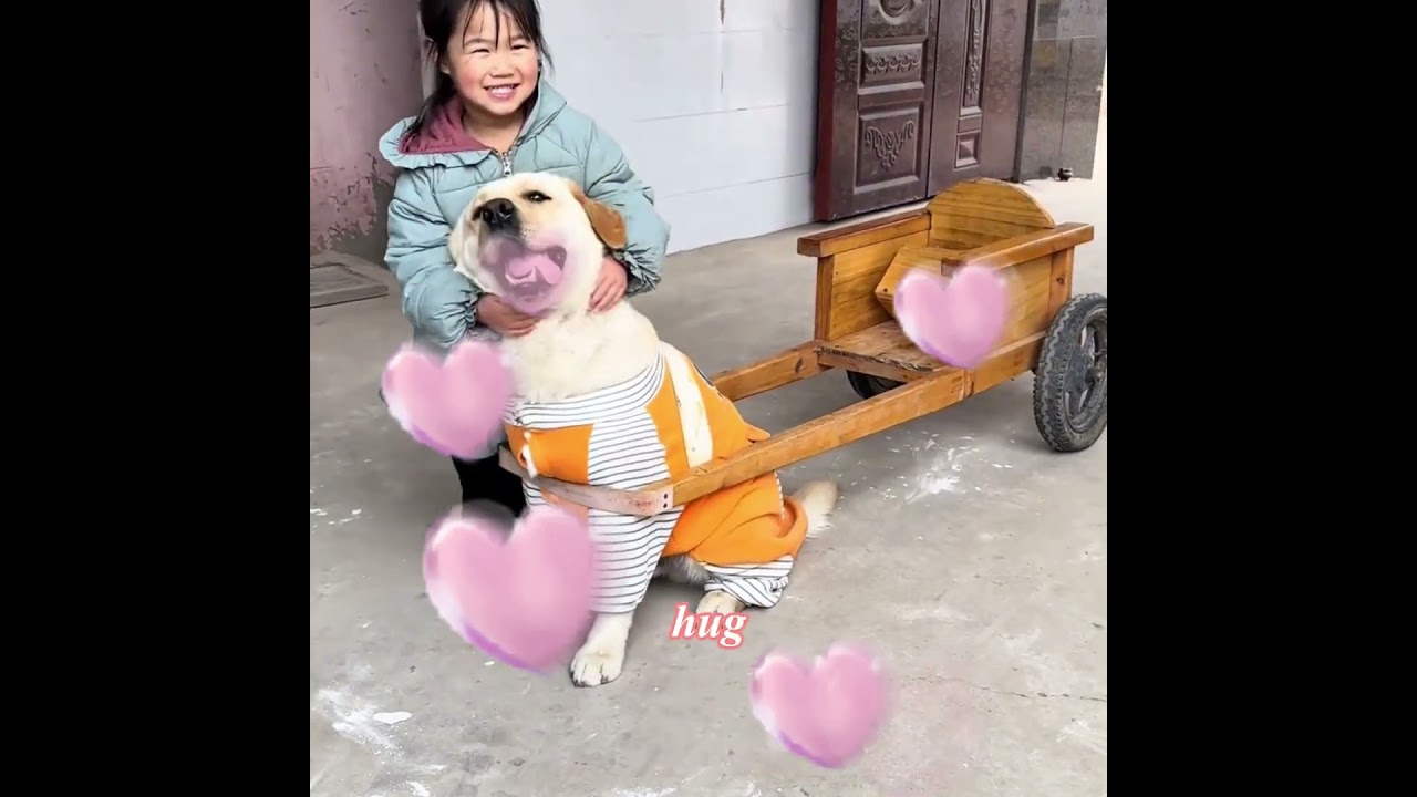 Эта маленькая собачка — настоящий герой! 