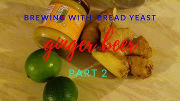 bread yeast ginger beer part 2