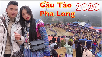 DTVN - P1. Tìm Bắt Vợ tại LỄ HỘI GẦU TÀO PHA LONG MƯỜNG KHƯƠNG 2020