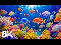 The Best Underwater World 8K UHD — Amazing Aquarium Fish, Ocean Sounds for Sleep, Stress Relief #12