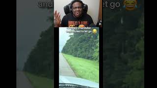 stick bug's grip hits different #shorts #nature #trending