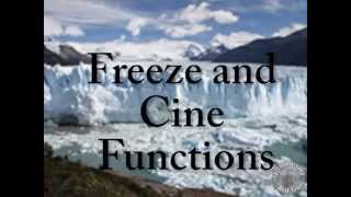 freeze and cine