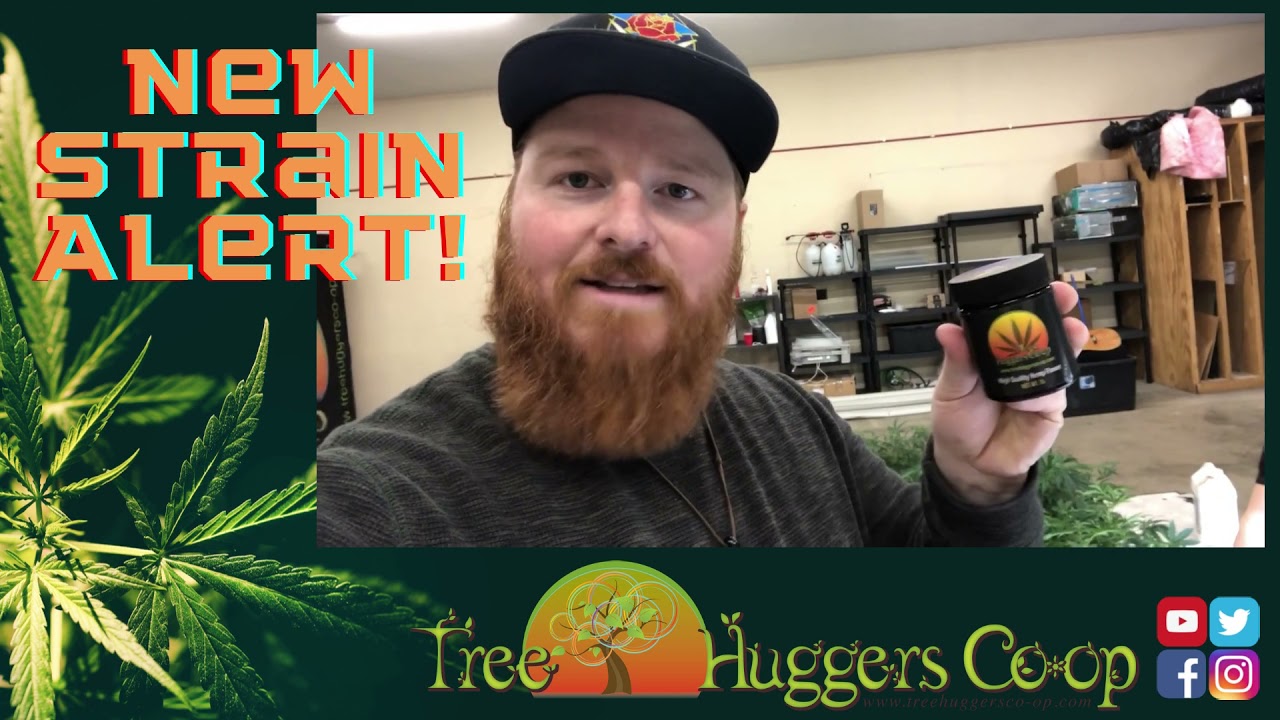 New Strain Alert! Sour Space Candy