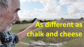 4 fundamental factors driving ecological communities