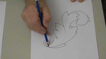 How to Draw Acanthus Leaves for Woodcarving