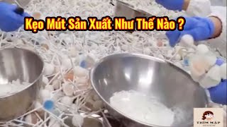 Kẹo Mút Sản Xuất Như Thế Nào - Ghé Thăm Nhà Máy Sản Xuất Kẹo Mút Lớn Nhất Hàn Quốc screenshot 5