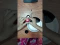 DIY Paper Plate Ladybug! 🐞 | Easy Kids Craft #shorts
