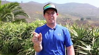 XPT Performance Breathing | The role of the diaphragm in the functioning of the core