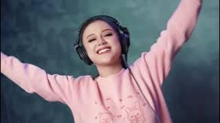 DJ ALREADY GONE VIRAL TIKTOK BREAKBEAT TERBARU | DJ AYUDIA | APN Entertainment