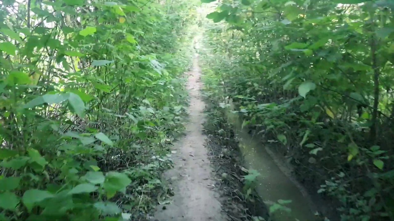 beautiful way somewhere in Bannu... local eara