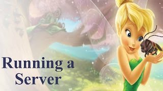 Fairyabc~ Making/ running a server