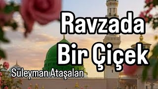 Ravzada Bir Çiçek Ağlatan Eşsiz İlahi 2026 Süleyman Ataşalan