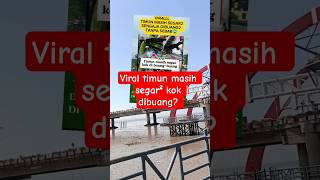 Viral Timun Masih Segar Kok Dibuang?