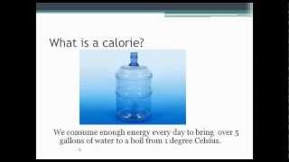 Nutrition 101