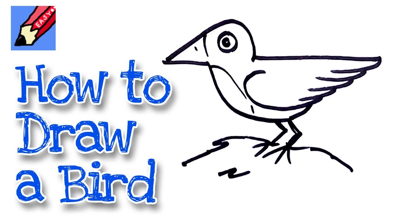 How to draw a bird real easy | Step by Step with Easy, Spoken