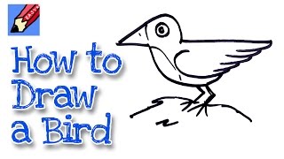 draw bird easy beginners