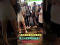 小港桂陽路廟會突爆衝突　警方火速到場強勢逮人　熱鬧遶境瞬間變調【冬星新聞】