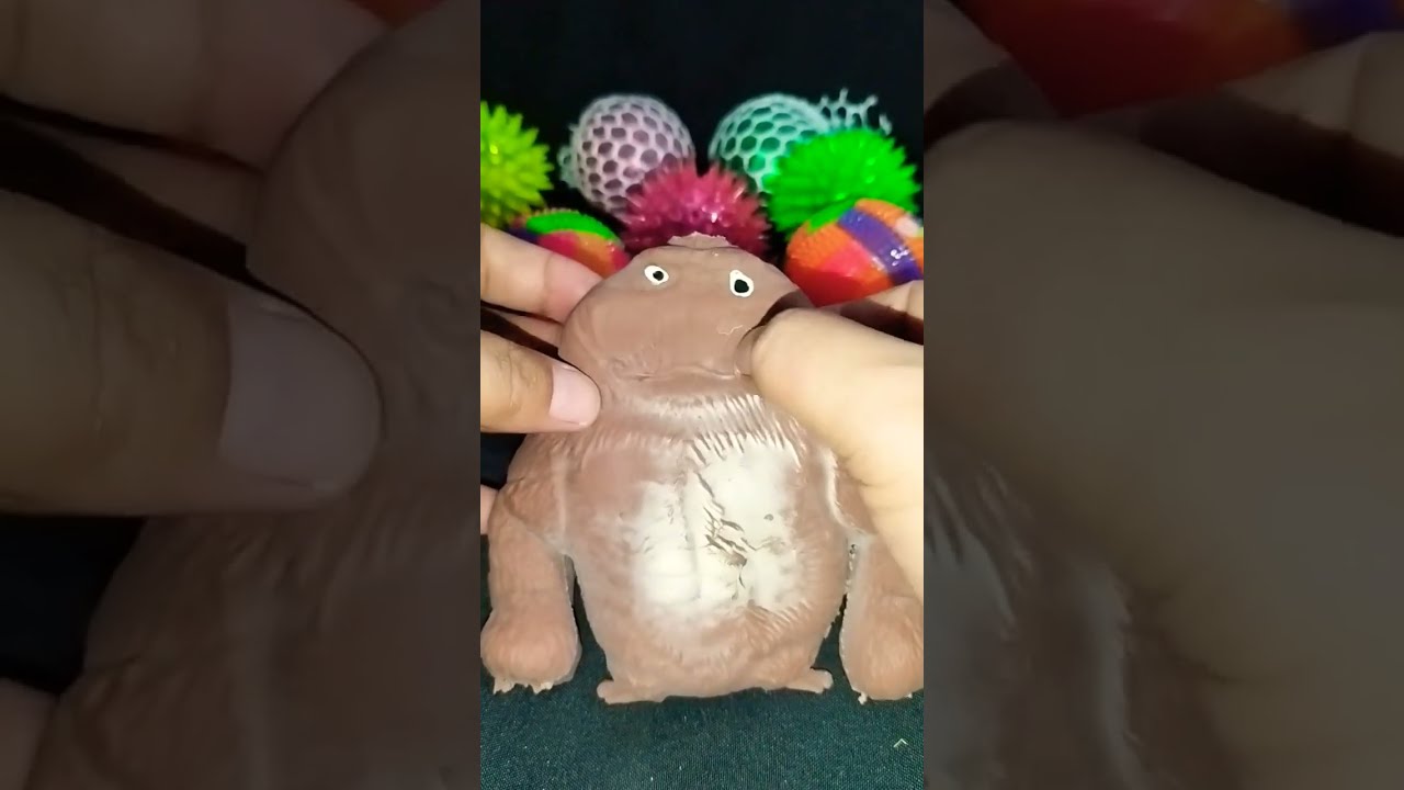 もにまるず すみっコぐらし　とかげ　 moni moni ANIMALS もにまるず公式サイト