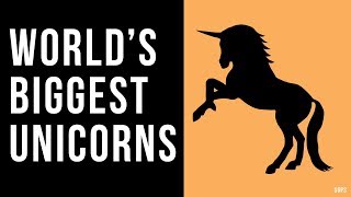 Top 10 World’s Biggest Unicorn Companies