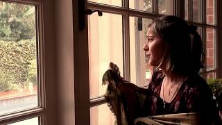 Adele - Hello Quarantine Parody